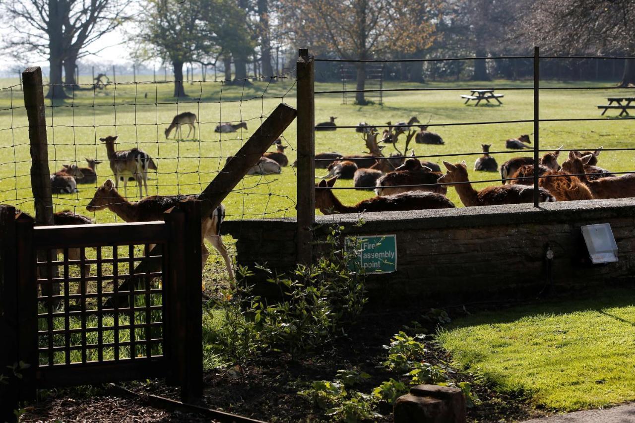 Whitworth Hall Hotel & Deer Park - Durham Spennymoor Exteriör bild