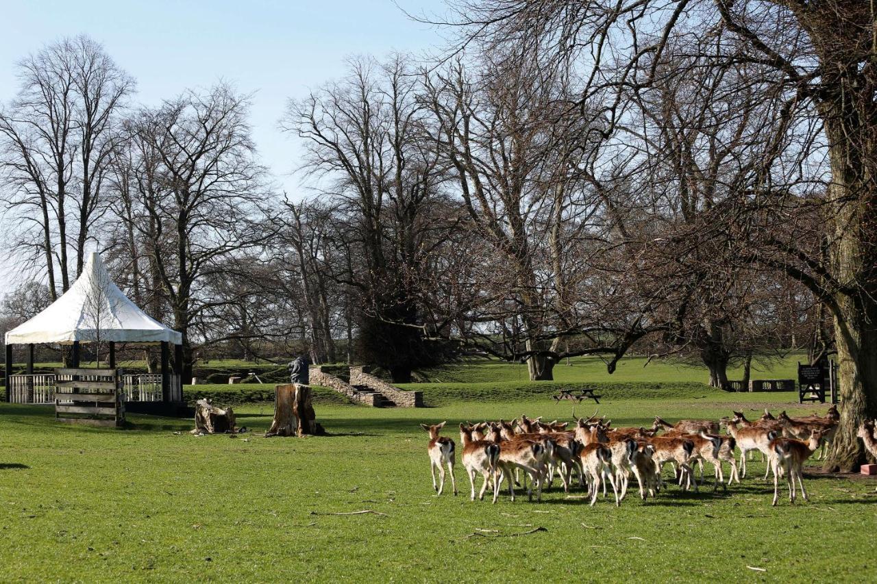 Whitworth Hall Hotel & Deer Park - Durham Spennymoor Exteriör bild